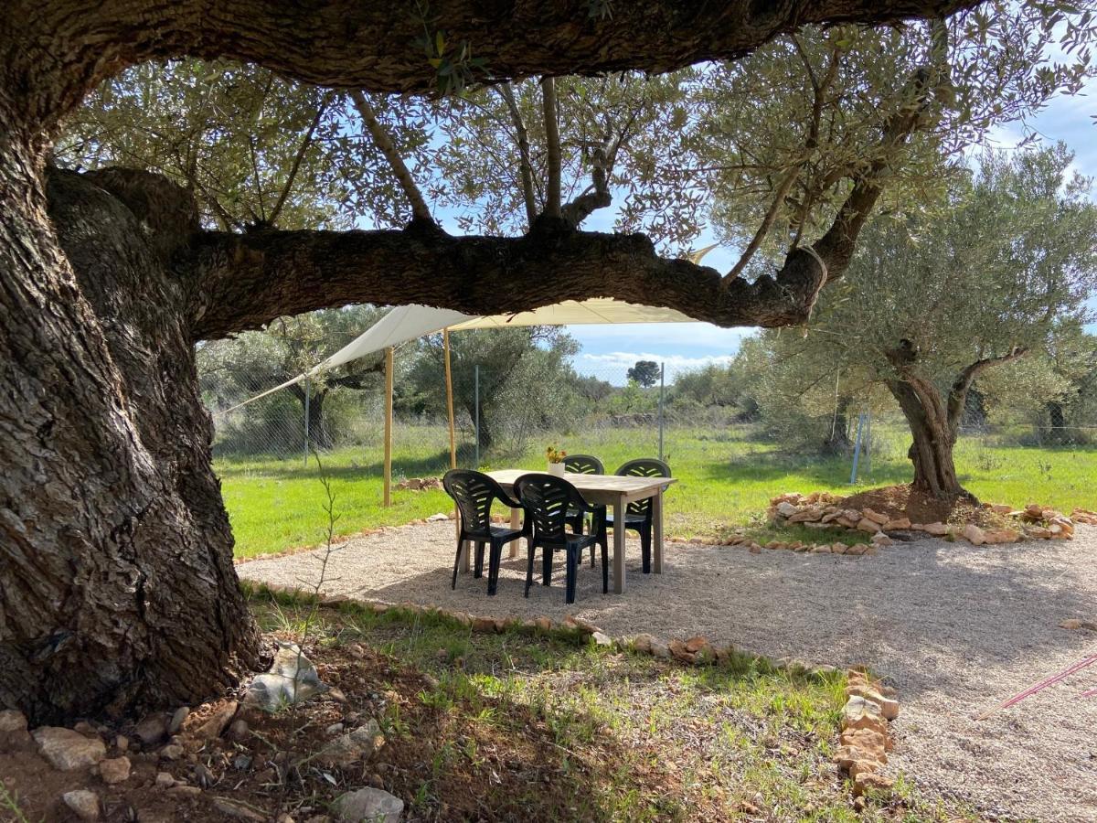 Tente de luxe Paraiso Bell Tent Tortosa
