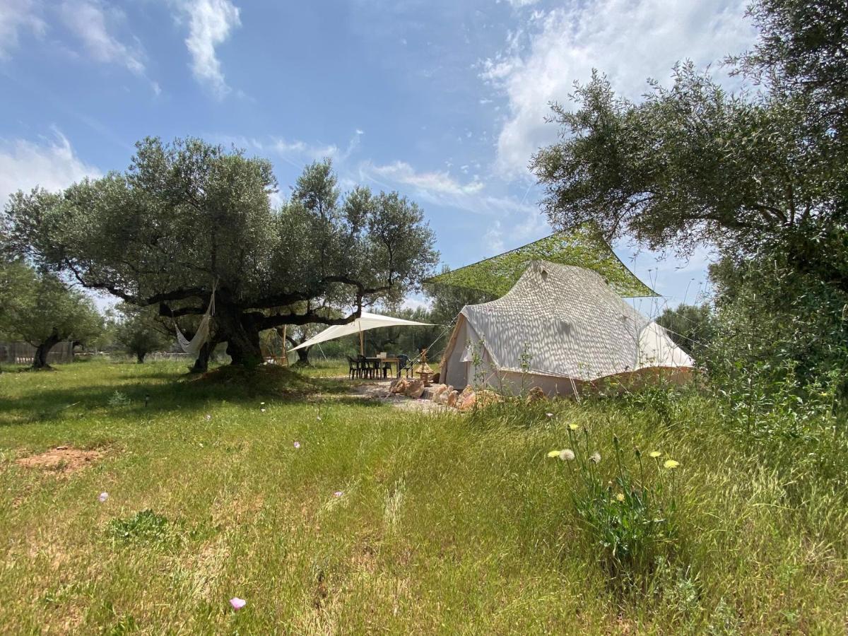 Paraiso Bell Tent Tortosa